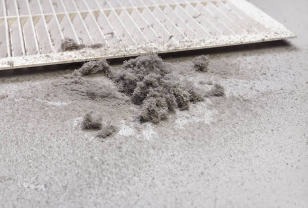 Best Ventilation Cleaning Services  in Wallburg, NC