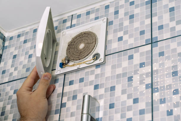 Best Air Duct Mold Removal  in Wallburg, NC
