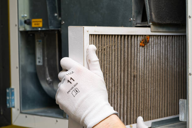 Best Air Duct Cleaning Near Me  in Wallburg, NC