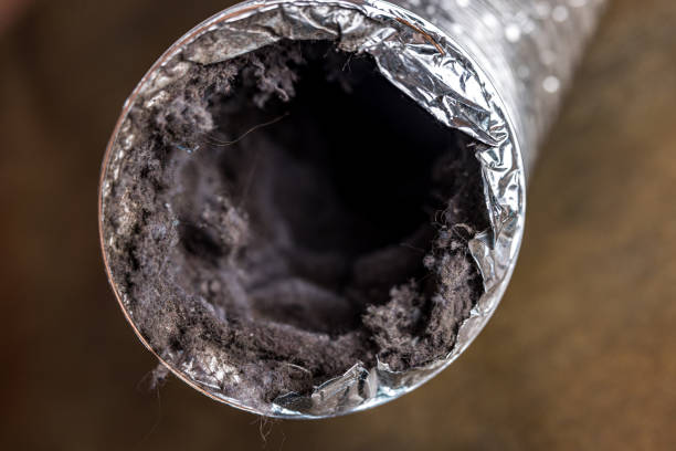 Best HVAC Air Duct Cleaning  in Wallburg, NC