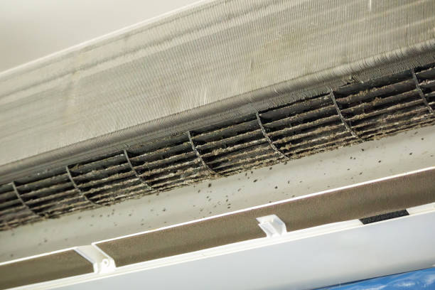 Best Affordable Duct Cleaning Services  in Wallburg, NC