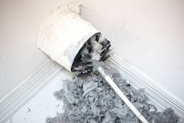 Best Dryer Vent Cleaning Services  in Wallburg, NC